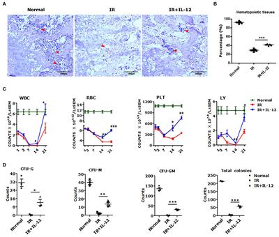 Irradiation Haematopoiesis Recovery Orchestrated by IL-12/IL-12Rβ1/TYK2/STAT3-Initiated Osteogenic Differentiation of Mouse Bone Marrow-Derived Mesenchymal Stem Cells